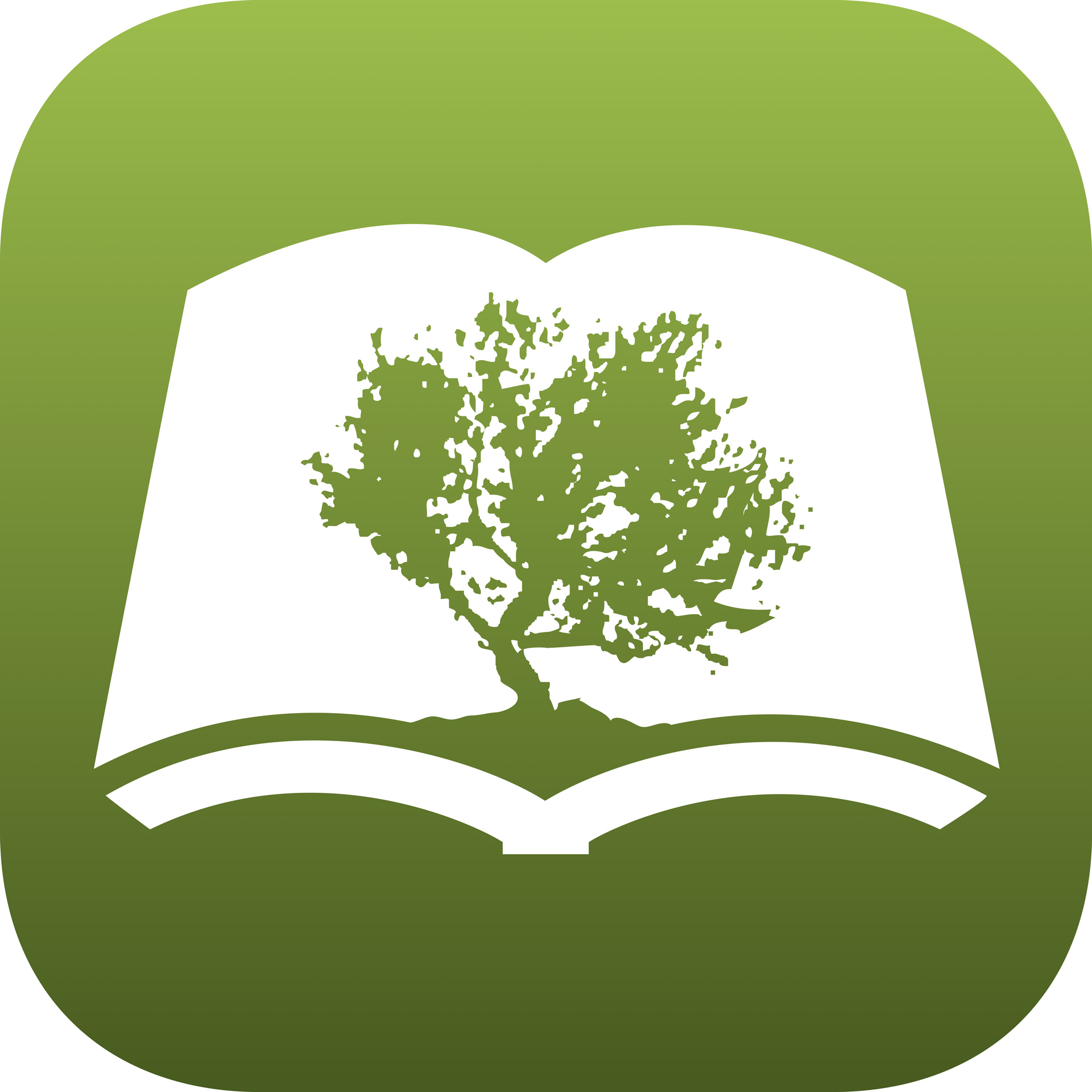 olive tree bible software free download