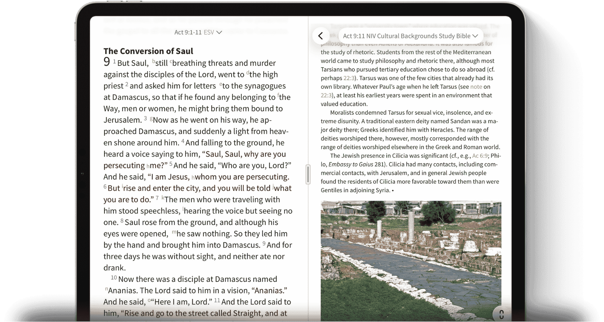 Tablet showing Olive Tree App