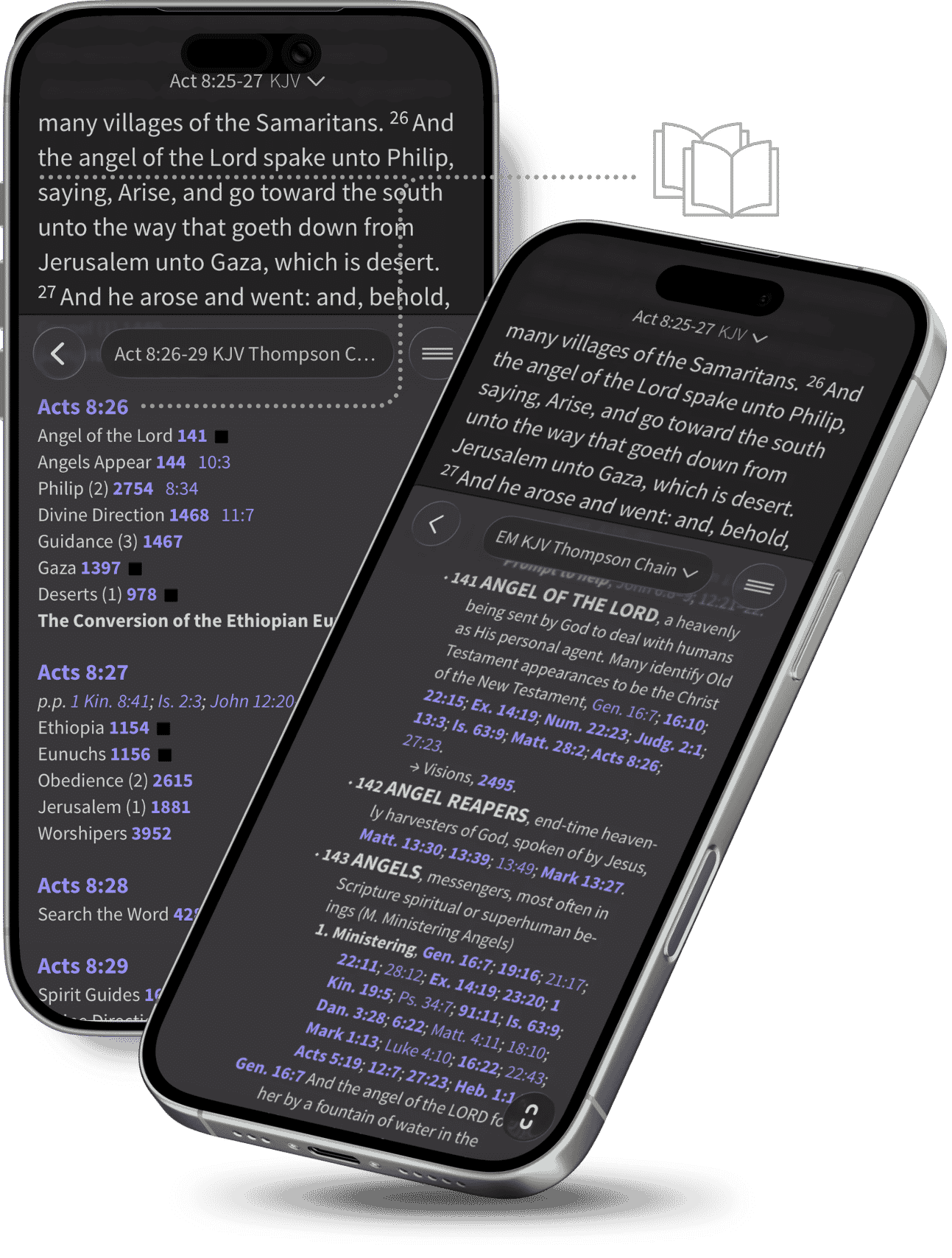 Parallel View in the Olive Tree app
