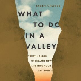 What to Do in a Valley: Trusting God to Breathe New Life into Your Dry Bones